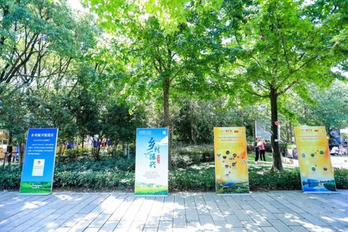 豐收世界畫豐收 金秋時節新米飄香,奉賢跨界農產品增效又增收