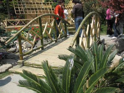 綠化工程_綠化工程供貨商_供應綠化工程領先企業-上海綠化工程首選哪家公司_綠化工程價格_上?？弟皥@林(晨蘇實業)