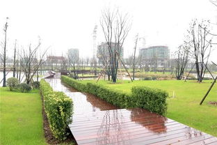 翠湖公園 萍水湖濕地公園 甘源食品等企業(yè)發(fā)展情況了解