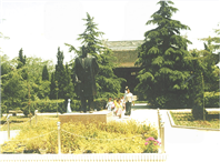 江南園林中的實(shí)業(yè)傳奇：張謇的文化印記